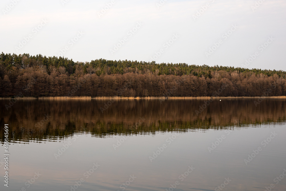 Spring, summer or autumn nature landscape panorama with trees on quiet forest lake