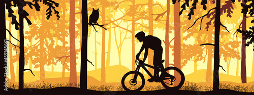 Horizontal banner. Silhouette of mountain bike rider on meadow in forrest. Silhouette of biker, trees, grass. Magical misty landscape, fog. Orange, violet, pink illustration. Bookmark.