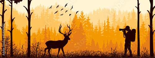 Photographer on meadow in forest take picture of deer. Silhouette of tree  man  animal. Wild nature landscape. Horizontal banner.