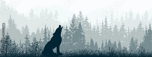 Horizontal banner. Silhouette of wolf standing on meadow in forrest. Silhouette of animal, trees, grass. Magical misty landscape, fog. Blue and gray illustration. Bookmark.