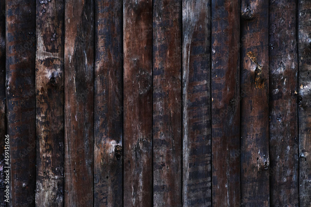 Naklejka premium Wood logs wall background