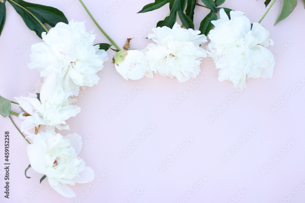 Beautiful white peony flowers bouquet on pastel table top. Flat lay style with copy space. 