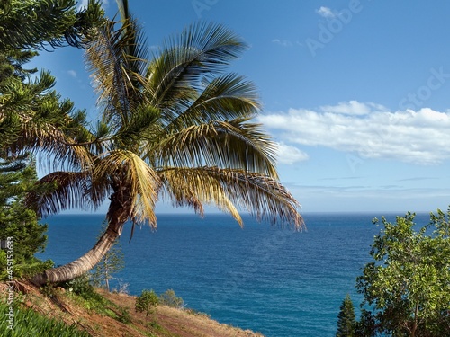 A southern dream Atlantic Ocean, blue sky and lush palm trees on the Canary Island of Tenerife. © AkimaFutura