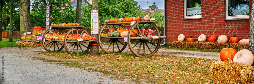 Various pumpkins for sale on the edge of a village road.