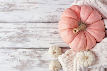Cozy fall side border on a rustic white wood background. Above view. White blanket, pink and white pumpkins.