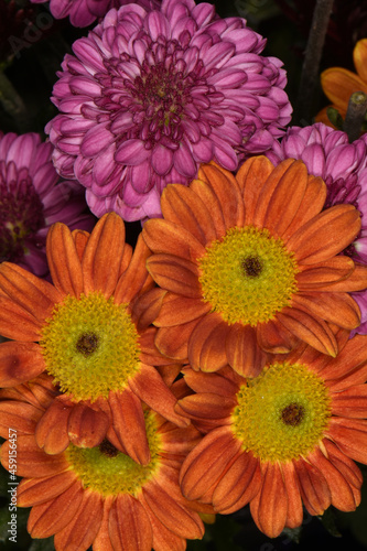 close up of  a bouquet of flowers in bloom
