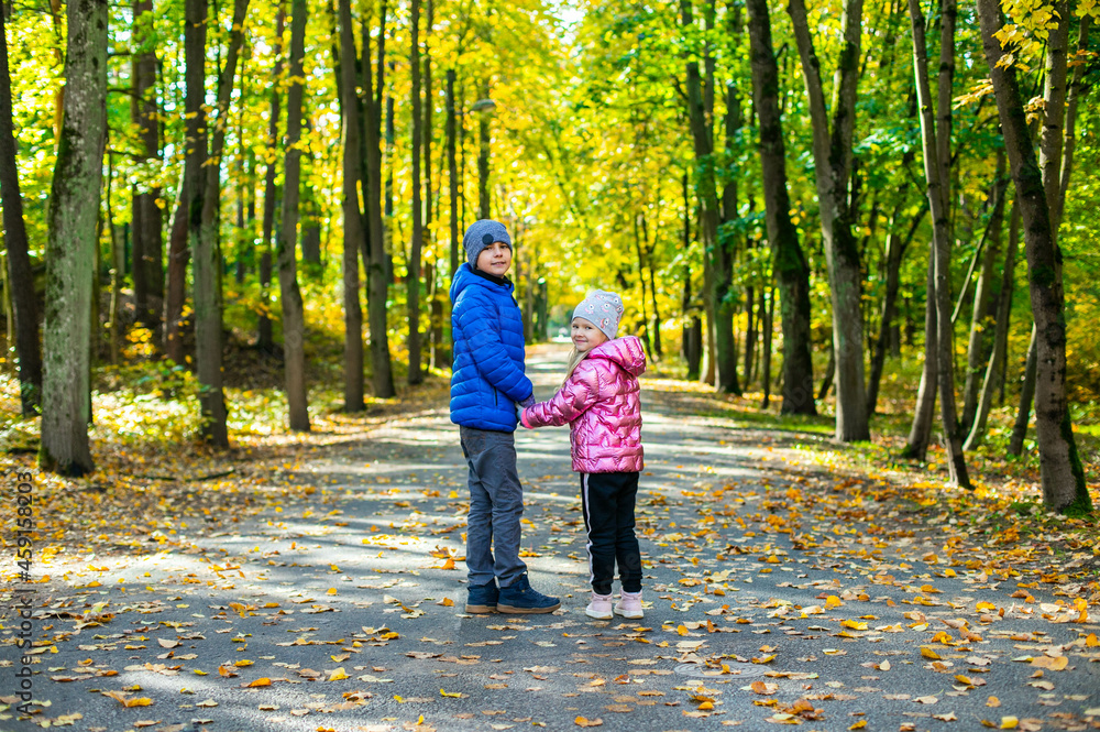 A boy and a girl are standing on an alley among yellow leaves A boy and a girl are standing on an alley among yellow leaves