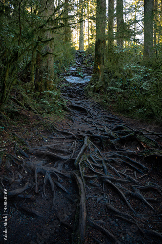 Capilano provincial park