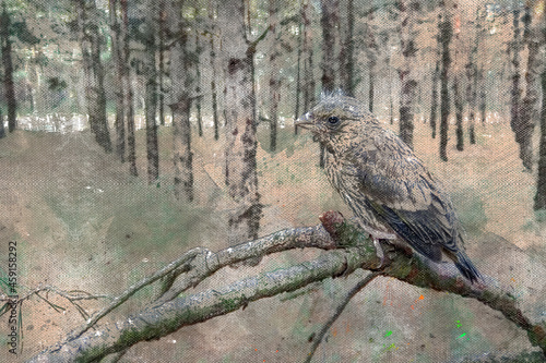 Portrait of a skylark chick sitting on a branch in the woods. Gray-brown songbird in close-up. Field lark. Animals in natural habitat. Digital watercolor painting