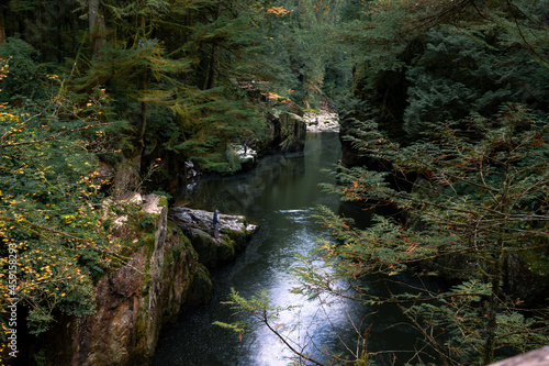 Capilano River Vancouver, Autumn Fishing 