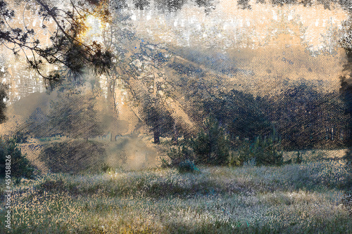 Fog in a summer forest. The sun's rays illuminate a glade of wild herbs. The beauty of nature. Digital watercolor painting.