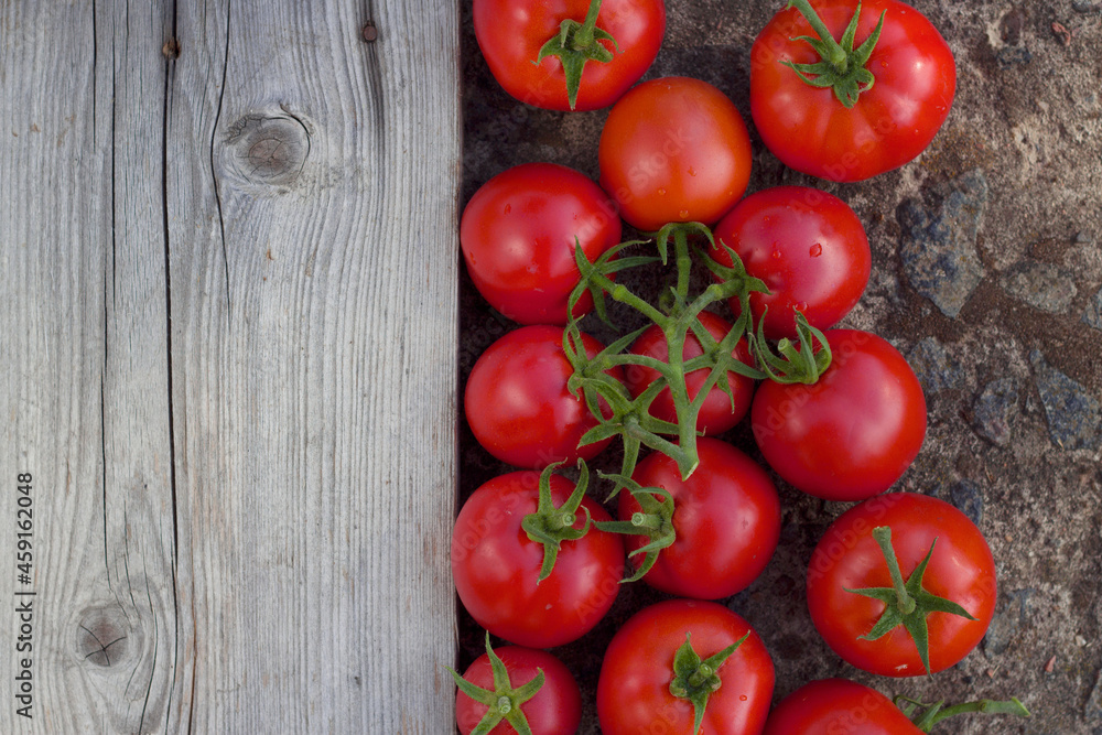 Ripe tomatoes near the grey empty wooden board. Red juicy vegetables near the textured natural copy space. Tomato branches for tasty salad and sauce. Ripe tomatoes near the grey empty wooden board. Red juicy vegetables near the textured natural copy space. Tomato branches for tasty salad and sauce.