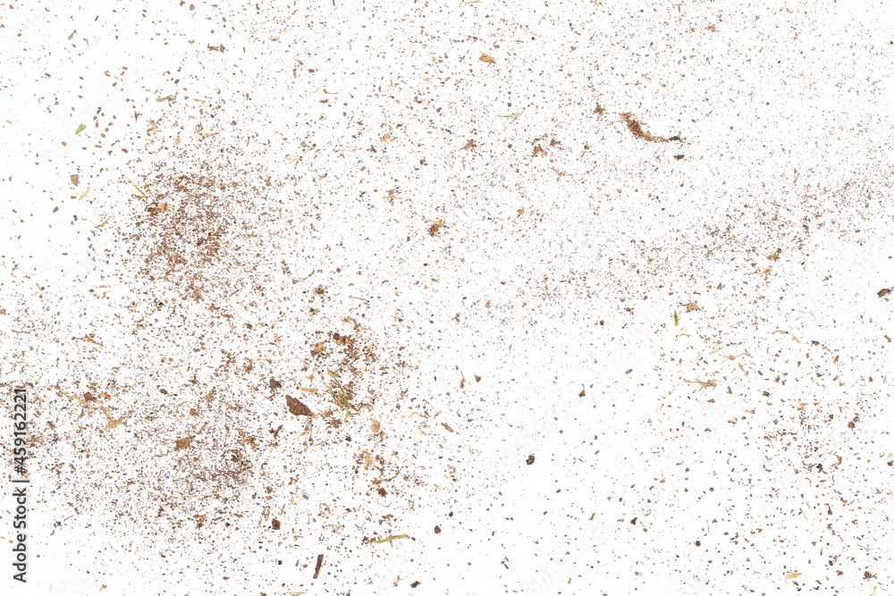 Dust organic, crushed rotten wood, ground dry and green moss isolated on white background and texture, top view Dust organic, crushed rotten wood, ground dry and green moss isolated on white background and texture, top view