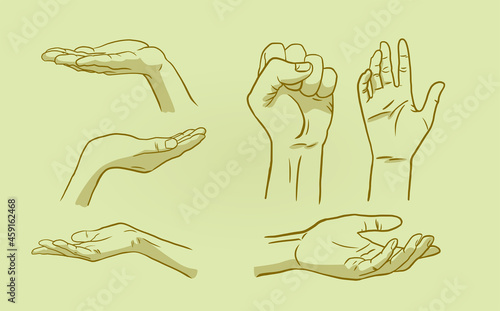 hands in different positions, closed and open. vector illustration