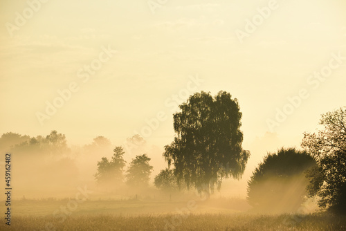 In autumn in the morning the sun rises behind the trees, behind the morning mist, which creates a magical atmosphere