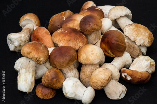 Bunch of porcini mushrooms on black