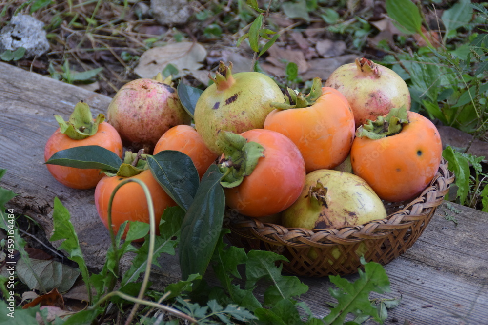 Cestino con frutti autunnali di caco e melograno Cestino con frutti autunnali di caco e melograno