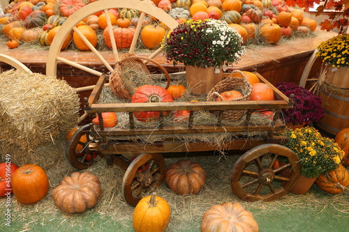 Decorative pumpkins, Halloween decor in Moscow city. Harvest, garden decoration in GUM, Moscow city. Shop ornament with gourd, orange pumpkin. Halloween pumpkin. Pumpkin decor. Many Halloween pumpkins