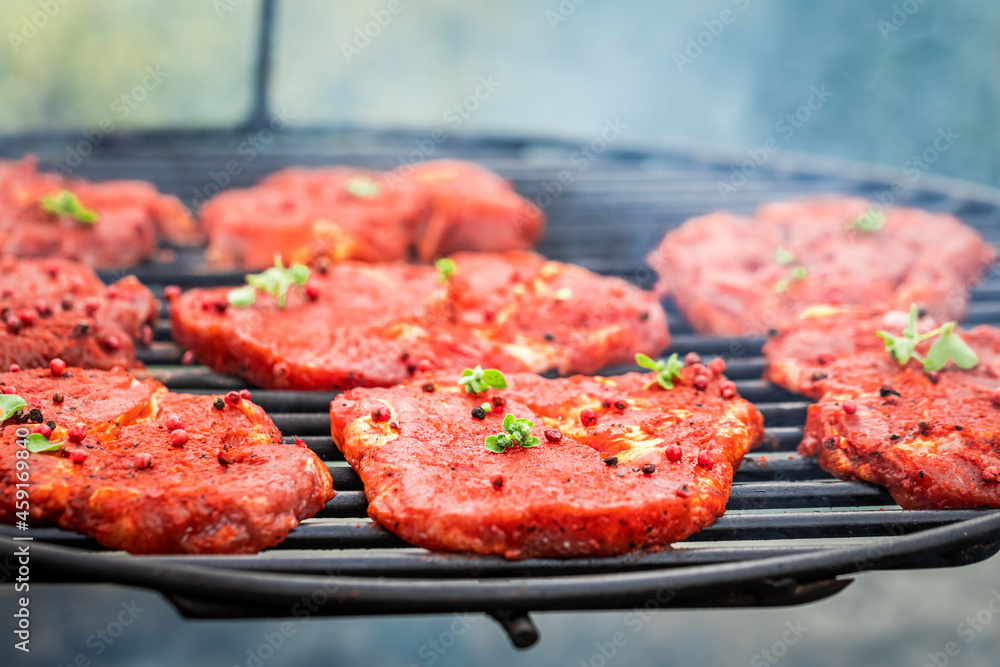 Spicy grilled pork neck with herbs. Grilled steak in summer. Spicy grilled pork neck with herbs. Grilled steak in summer.