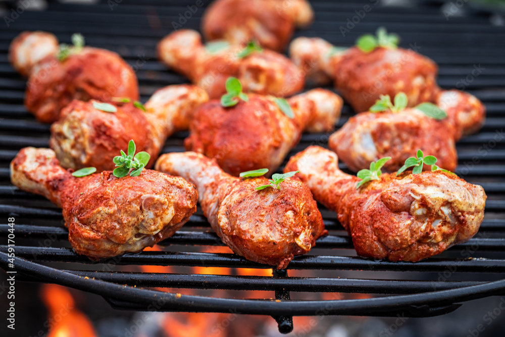 Spicy roasted chicken with spices. Grill in garden. Spicy roasted chicken with spices. Grill in garden.