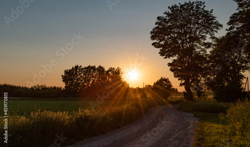 Summer sunset in a countryside