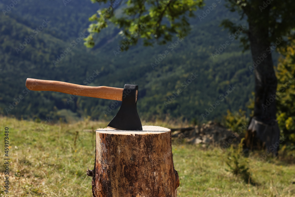 Tree stump with axe on hill. Professional tool Tree stump with axe on hill. Professional tool