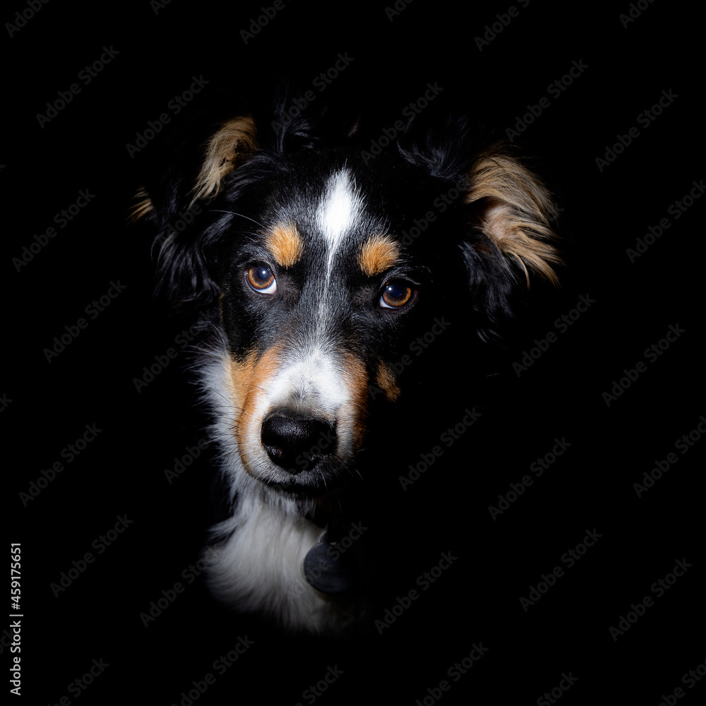 Fototapeta premium Sorti de l'ombre