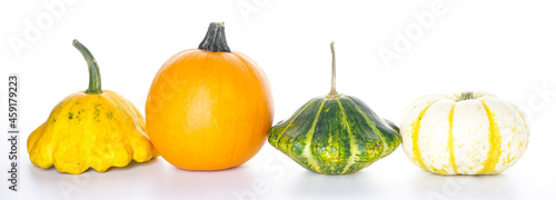 Halloween pumpkins isolation on a white background. Halloween decorations.
