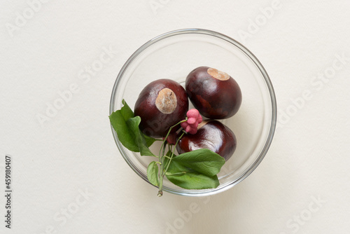 horse chestnuts or conkers with pink tree berries in a glass bowl 