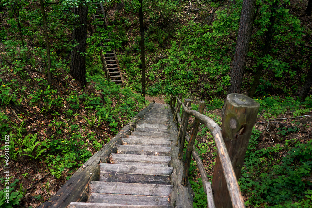 Beautiful panorama of hiking trail. Green Forest park Landscape and blue sky.