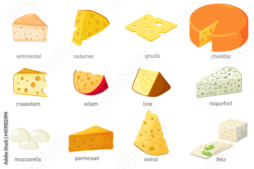 A set of illustrations of different types of cheese with inscriptions.Emmental,radomir,cheddar, gouda,roquefort, brie,edam,maasdam, parmesan, Swiss, feta, mozzarella.Vector illustrations in a hand-dra