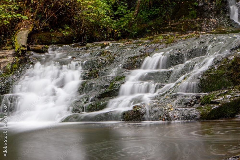 Obraz premium waterfall in the forest