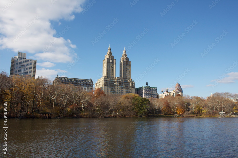 Naklejka premium Central Park New-York