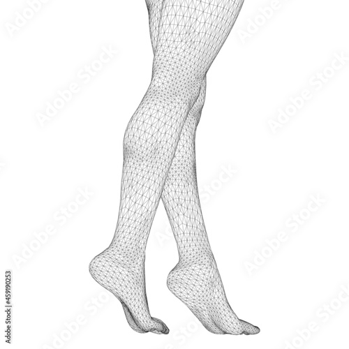 Vector illustration of a human body. Female legs in the form of a three-dimensional triangular mesh