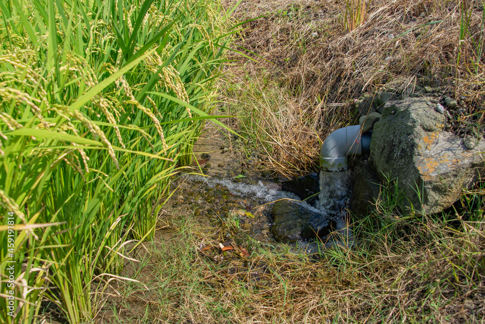 水田に水を引く給排水溝 バルブ 水田に水を引く給排水溝 バルブ