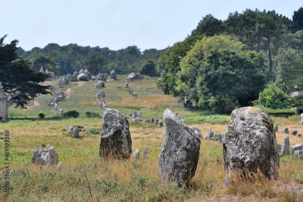alignments of menhirs at Carnac in Brittany France alignments of menhirs at Carnac in Brittany France