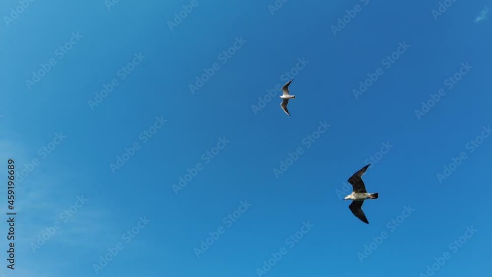 Sea View from a Boat Under the Wonderful Blue Sky of Greece
