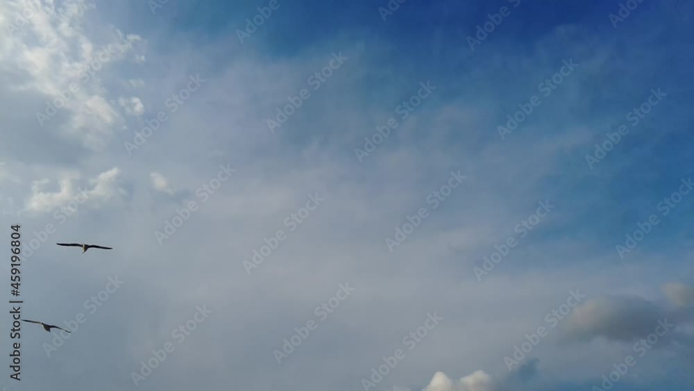 Sea View from a Boat Under the Wonderful Blue Sky of Greece