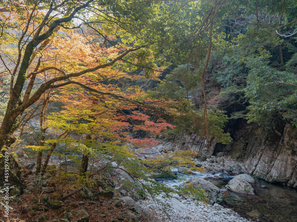 秋の三段峡 秋の三段峡