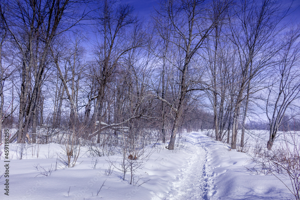 Fototapeta premium Winter wonderland scene and landscape Ontario Canada