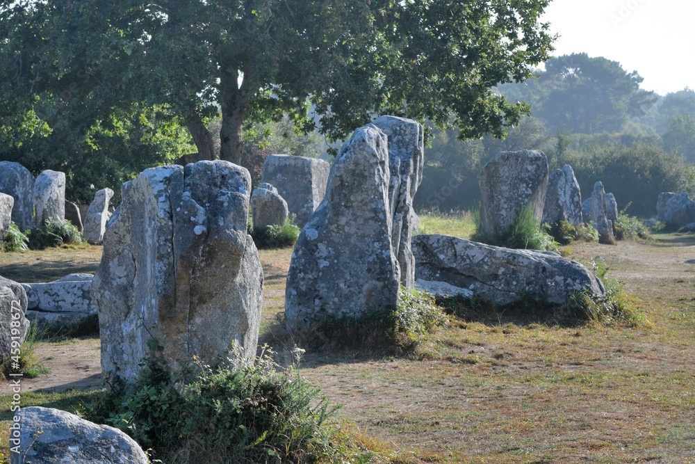 Beautiful menhirs alignment at Erdeven Kerzerho in Brittany Morbihan France Beautiful menhirs alignment at Erdeven Kerzerho in Brittany Morbihan France