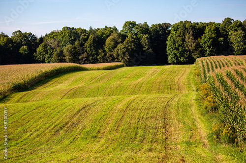 Farm strip cropping in Wisconsin with corn and hay
