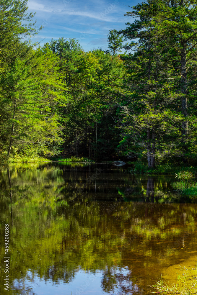  a look at beaman pond in otter river state forest