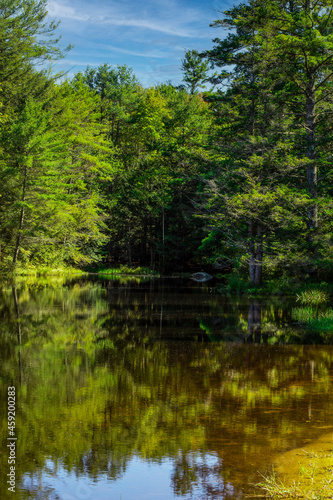 Fototapeta Naklejka Na Ścianę i Meble -   a look at beaman pond in otter river state forest