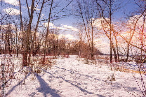 Winter wonderland scene and landscape Ontario Canada