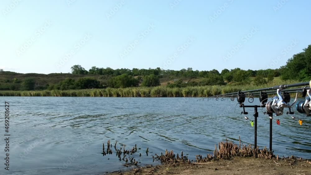 Carp fishing rods with carp bite indicators and reels set up on rod pod on a background of lake or river and nature. Rod pod, bite alarms, swinger, signaling devices. Fishing background, copy space Carp fishing rods with carp bite indicators and reels set up on rod pod on a background of lake or river and nature. Rod pod, bite alarms, swinger, signaling devices. Fishing background, copy space