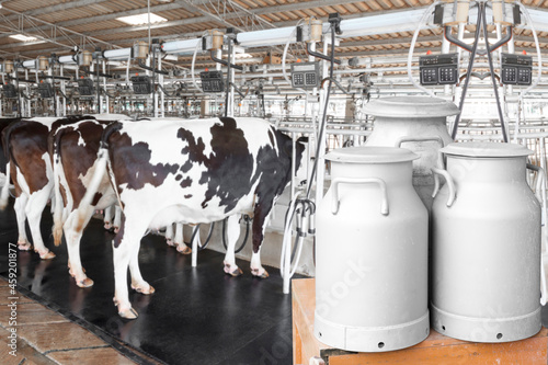 Can container milk with cow milking facility and mechanized milking equipment in the milking hall
