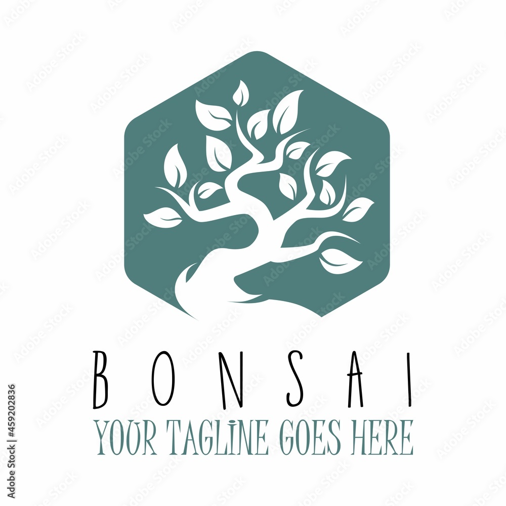 Unique Amazing bonsai tree in hexagon image graphic icon logo design abstract concept vector stock. Can be used as symbol relating to animal or interior.