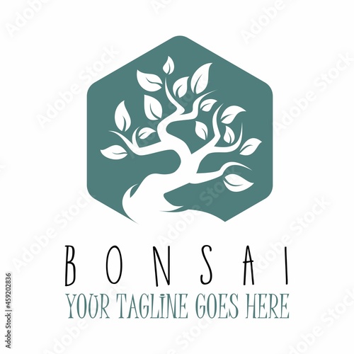 Unique Amazing bonsai tree in hexagon image graphic icon logo design abstract concept vector stock. Can be used as symbol relating to animal or interior.