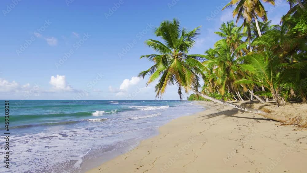White sandy beach, blue sea and palms with long leaves. Sea waves off the island coast. Sunny sky over tropical landscape. White sandy beach, blue sea and palms with long leaves. Sea waves off the island coast. Sunny sky over tropical landscape.